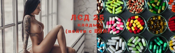 индика Горняк