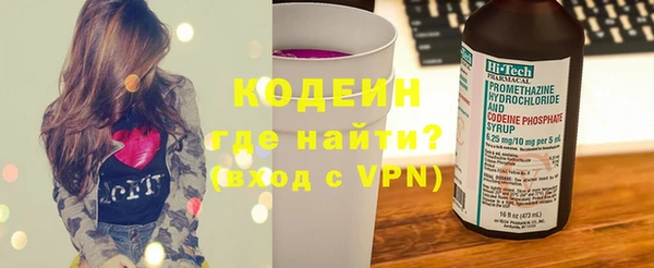 индика Горняк