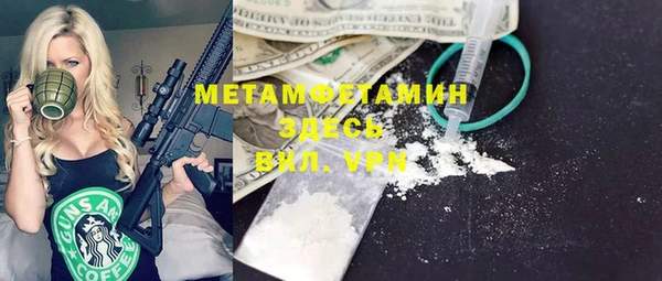 индика Горняк