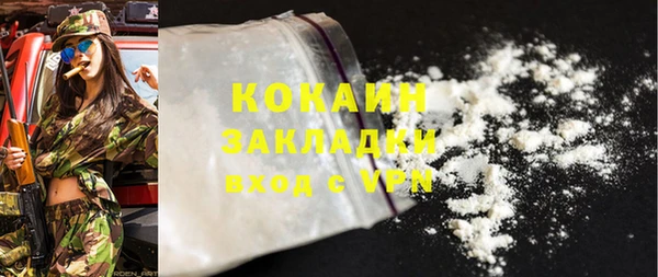 индика Горняк