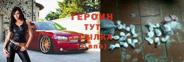индика Горняк
