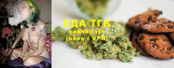 индика Горняк